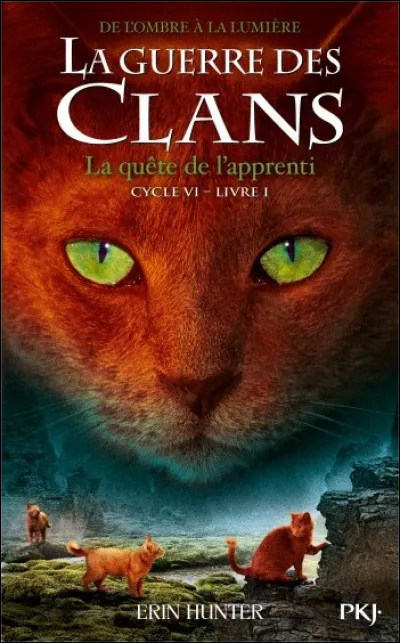 Quel chat est au premier plan sur le tome 1 du cycle 6 ?