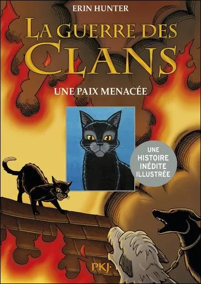 Quel chat est représenté au premier plan de la couverture de ce roman illustré ?