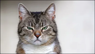 De qui est-elle jalouse ?