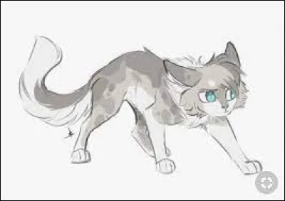 Que découvre la patrouille ?