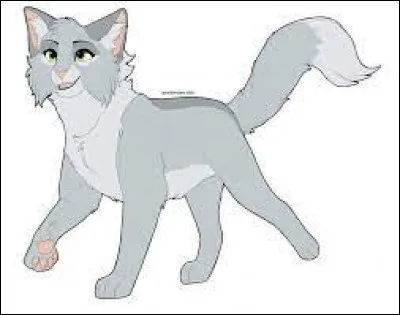 Quand Aile de Colombe l'apprend-elle ?