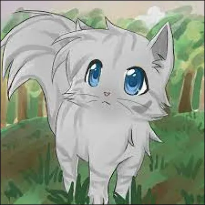 Et enfin, de qui est-elle la réincarnation ?