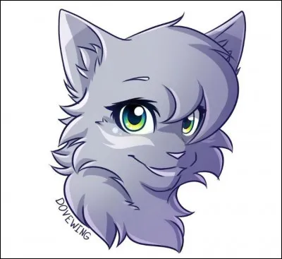 Quelles sont ses affiliations ?