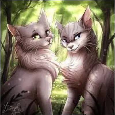 Aile de Colombe a une sur, mais comment s'appelle-t-elle ?