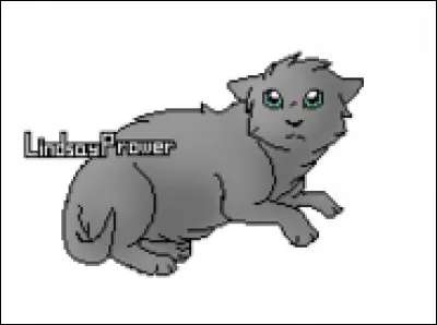 Bon, j'arrête avec les prophéties. Quel est son nom de chatonne ?