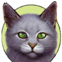 Quiz Erin hunter