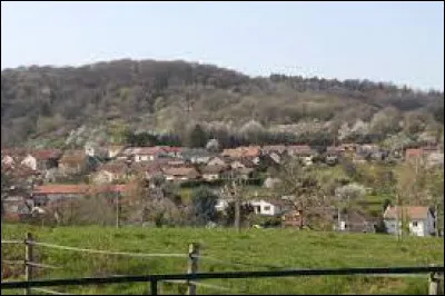 Nous terminons notre balade &agrave; quelques kilom&egrave;tres de Metz, &agrave; Plesnois. Commune de la vall&eacute;e de la Moselle, elle se situe dans le d&eacute;partement ...