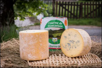 Montbrison : c'est dans cette ville que l'on produit "la fourme de Montbrison". Comment décrire ce fromage ?