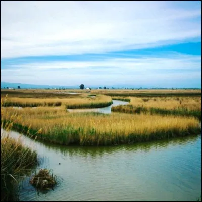 Quel fleuve espagnol, qui a donn&eacute; son nom au peuple antique de la r&eacute;gion, arrose la ville de Saragosse avant de cr&eacute;er un delta en Catalogne ?