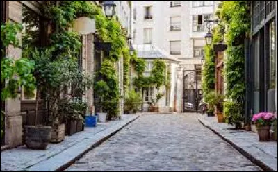 Quand quelqu'un dans la rue te bouscule et s'excuse juste après, comment réagis-tu ?