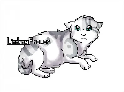 Quel est son nom de chaton ?