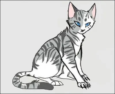 Que lui permet l'entraînement de Plume de Faucon ?