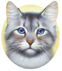 Quiz Erin hunter