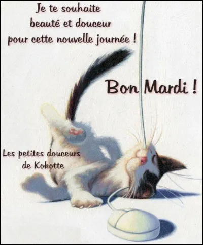 Comment dit-on mardi ?