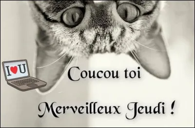 Comment dit-on jeudi ?