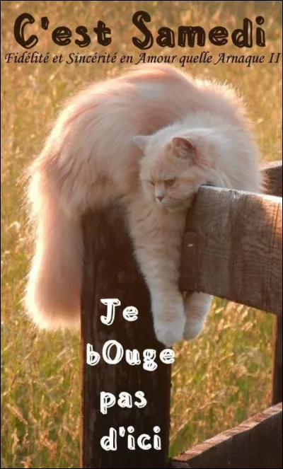 Comment dit-on samedi ?