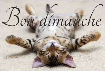 Comment dit-on dimanche ?