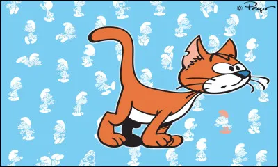 Comment sappelle le compagnon de Gargamel dans « Les Schtroumpfs » ?