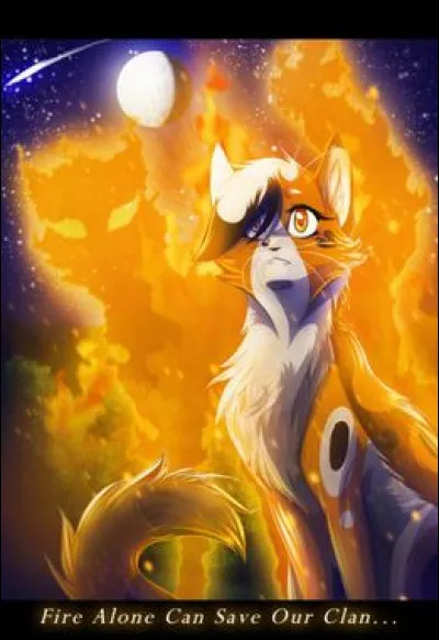 À quel âge est-elle morte ? (en lunes, abrégées "l")