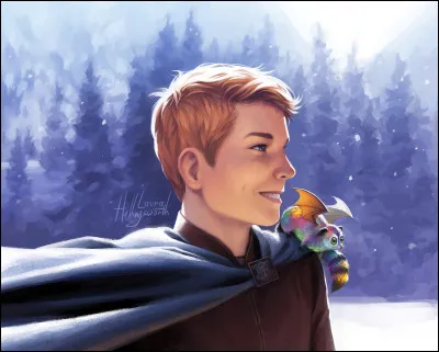 Quelle erreur commet Sophie au Bois des Errants ?