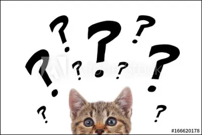 Son compagnon aussi est une réincarnation. Mais de qui ?