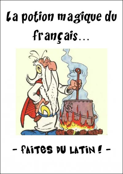 Romanus, i : le Romain est...