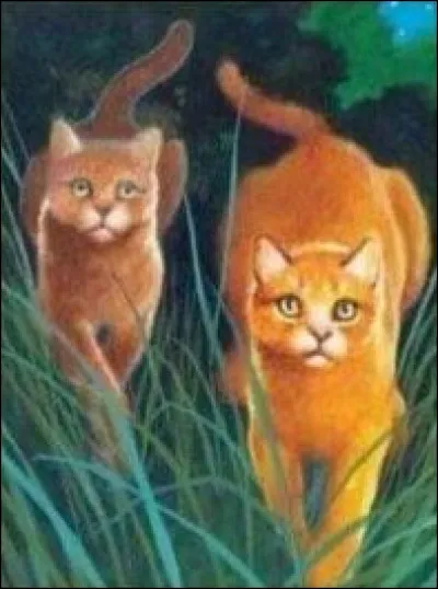 Où part-elle avec Étoile de Feu ?