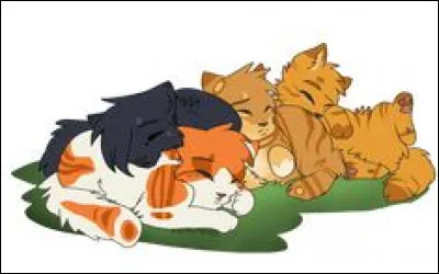 Quel est son nom de chaton ?