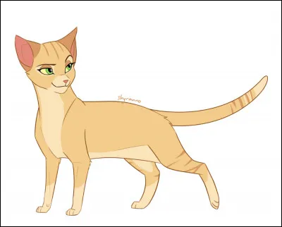 Pourquoi Nuage de Sable est-elle jalouse de Cur de Feu et Plume Grise ?