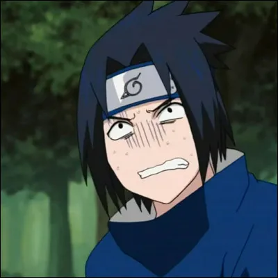 Je suis amoureuse de Sasuke :