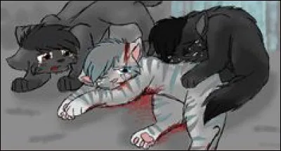 Qui perd ses neuf vies en premier ?