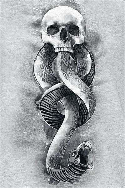 Comment s'appelle la marque que tous les mangemorts ont sur leurs poignets ?