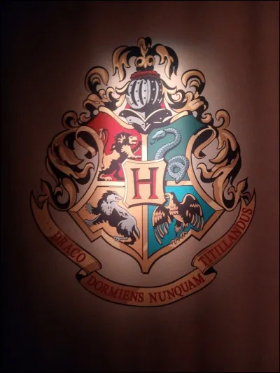 Quel est ton professeur préféré ?