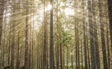 Quiz Test de personnalit�