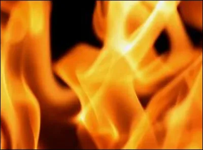 Quelle est ta saison préférée ?