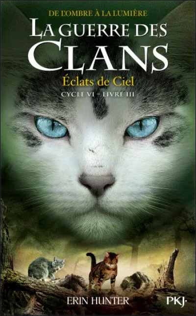 Quel est ce chat présent sur la couverture du livre "Éclats de Ciel" ?