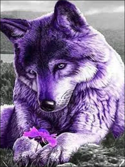 Quel est le nom de mon animal préféré ?