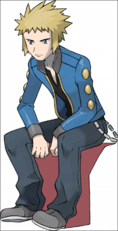 Quel(s) Champion(s) d'Arène de Sinnoh peut-on rencontrer ?