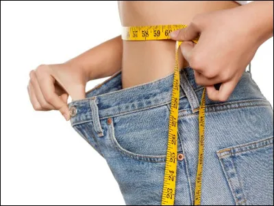 Tu pr&eacute;f&egrave;res un chien plut&ocirc;t :