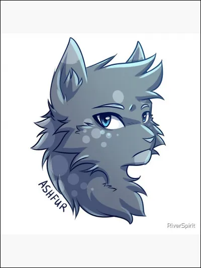 Qui est ce matou gris ?