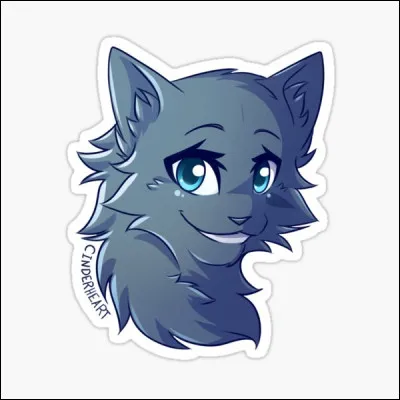 Quel est le nom de cette jolie chatte grise ?