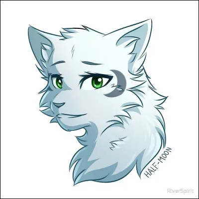 Quel est le nom de cette chatte ?