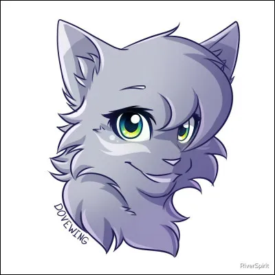 Qui est cette jolie chatte grise ?