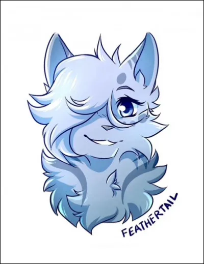 Qui est cette jolie chatte ?