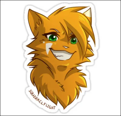 Quel est le nom de cette chatte énergique ?