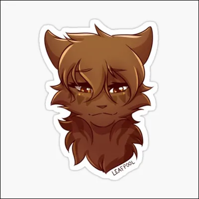 Qui est cette chatte brune ?