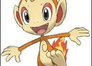 Test Quel starter es-tu ?