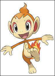 Quiz Test de personnalit�