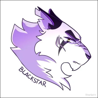 Quel est le nom de ce chat ?