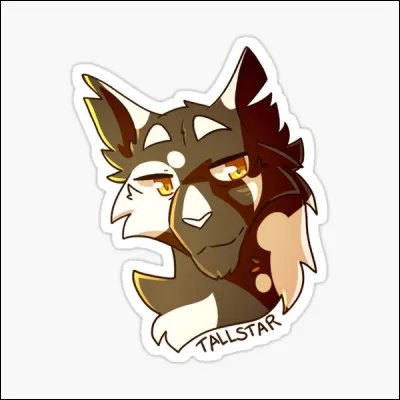 Comment s'appelle ce chat noir et blanc ?